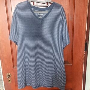 Goodfellow & Co Men's Blue Striped V-Neck Tee